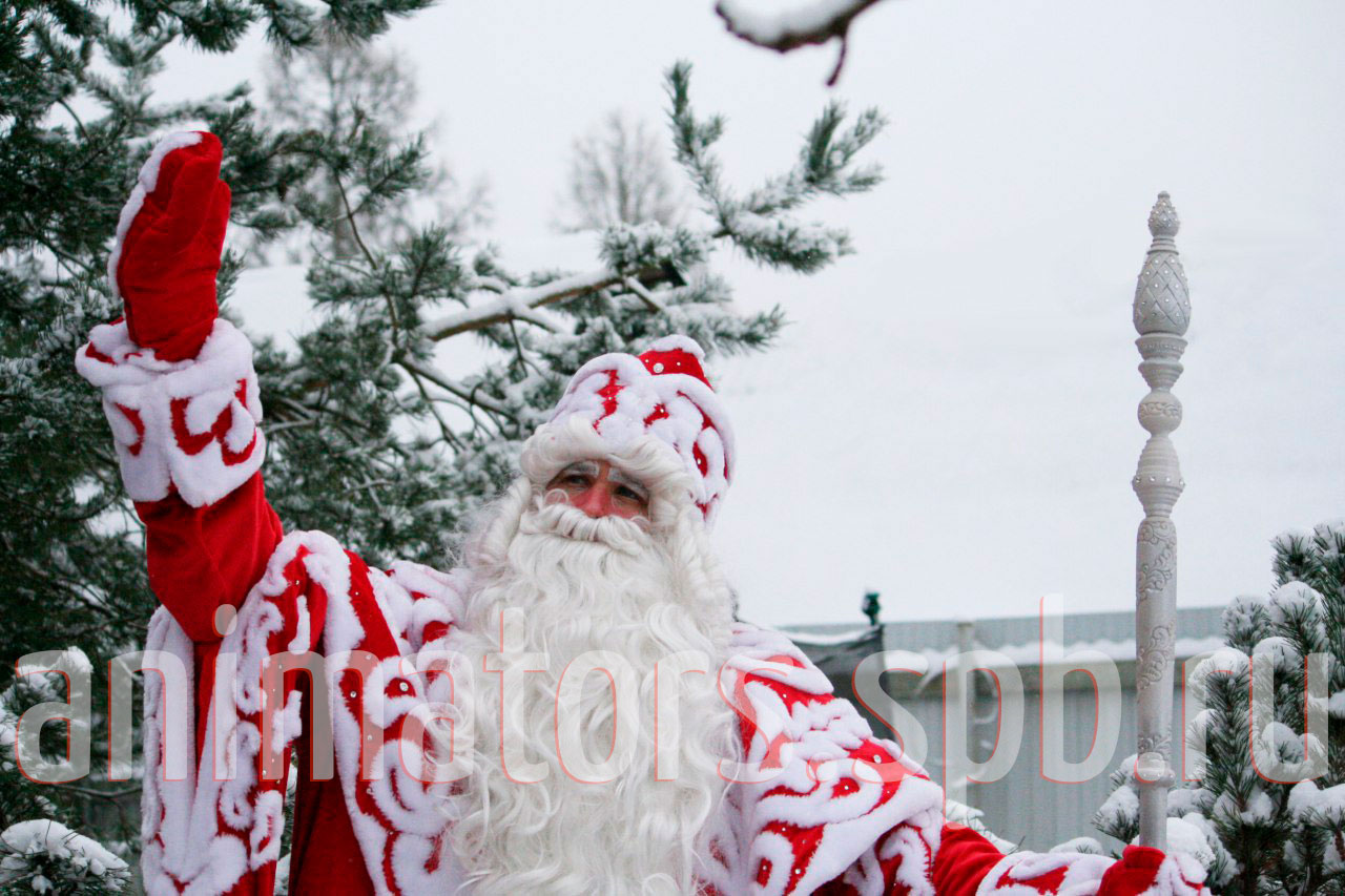 Дед Мороз и Снегурочка вип в СПб